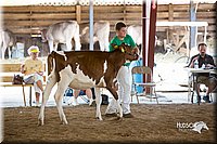 LCFair2016-4525.jpg