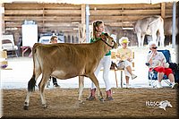 LCFair2016-4527.jpg