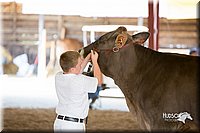 LCFair2016-4530.jpg