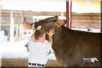 LCFair2016-4531.jpg