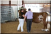 LCFair2016-4535.jpg