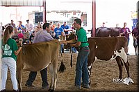 LCFair2016-4537.jpg