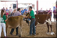 LCFair2016-4538.jpg