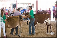 LCFair2016-4539.jpg