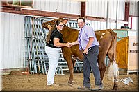 LCFair2016-4541.jpg