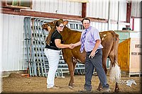 LCFair2016-4542.jpg