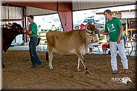 LCFair2016-4543.jpg