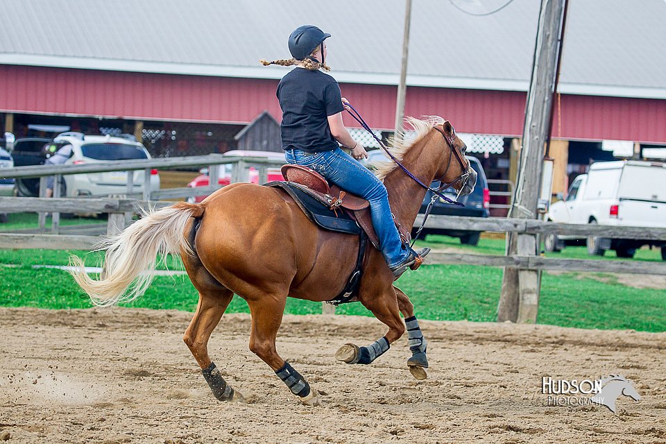 LCFair2016-4733.jpg