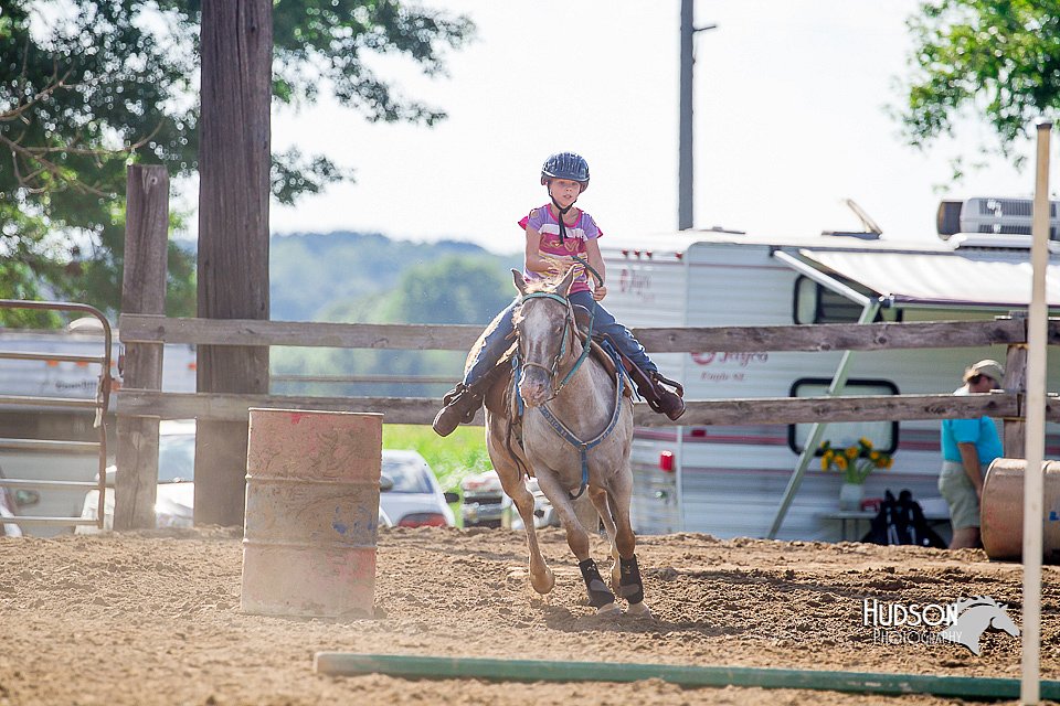 LCFair2016-4776.jpg
