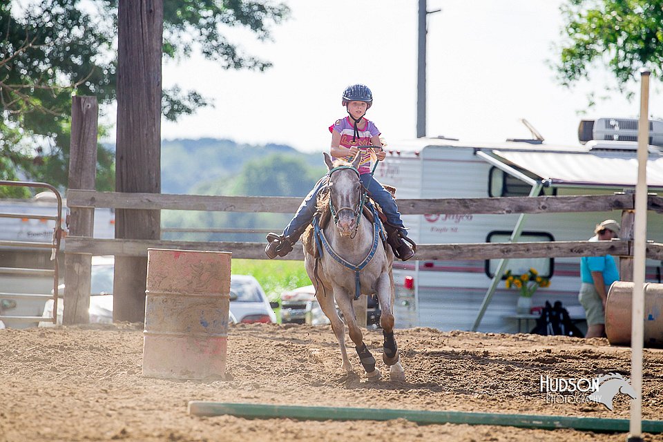 LCFair2016-4777.jpg