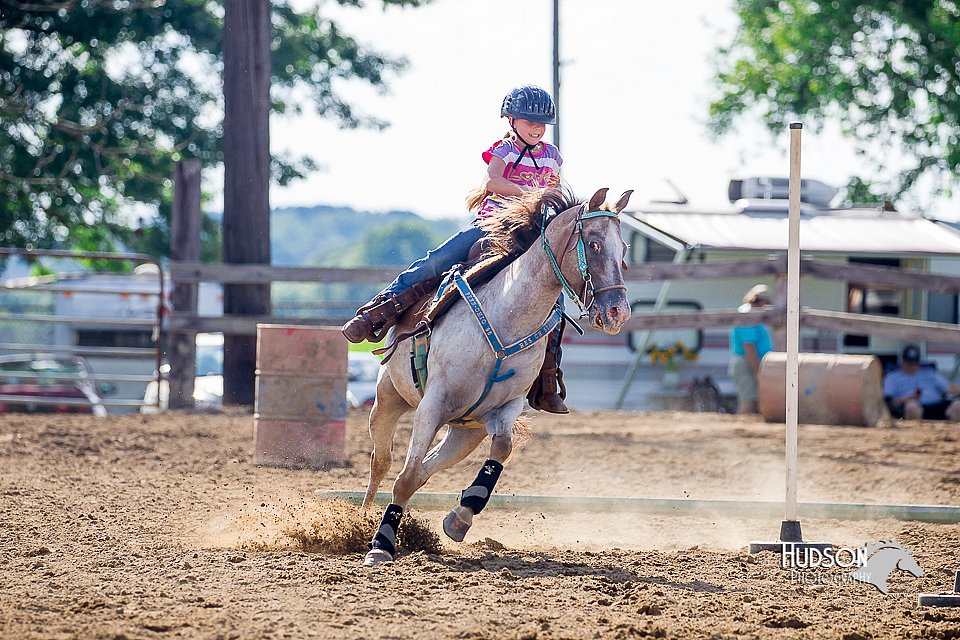LCFair2016-4780.jpg