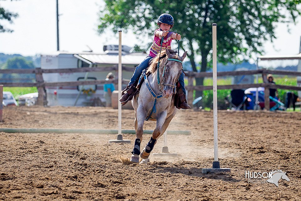 LCFair2016-4781.jpg