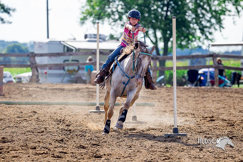 LCFair2016-4782.jpg