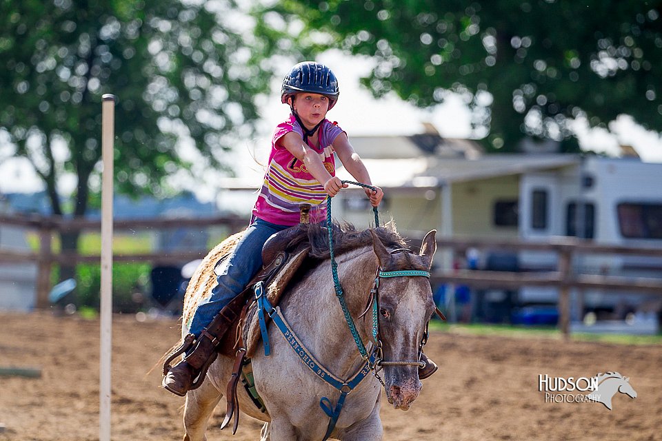 LCFair2016-4783.jpg