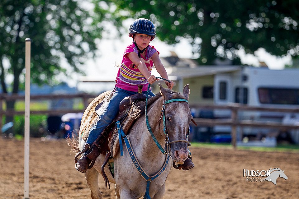 LCFair2016-4784.jpg