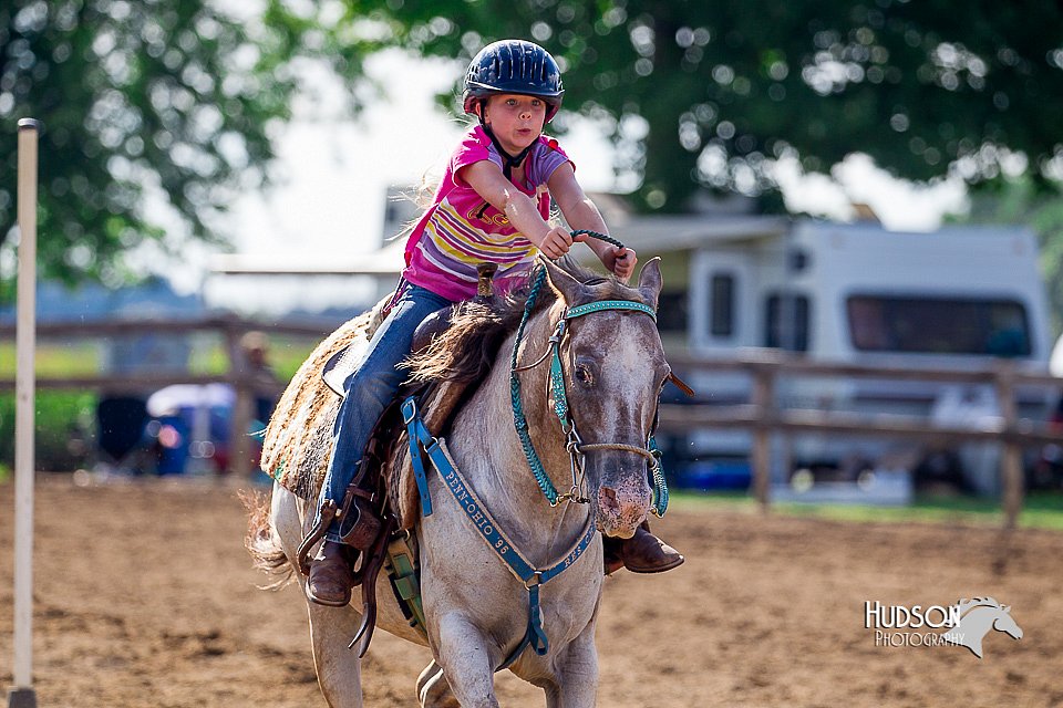 LCFair2016-4785.jpg
