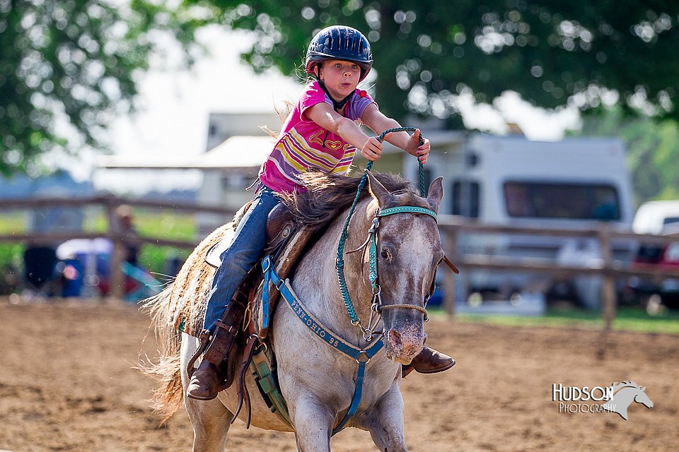LCFair2016-4786.jpg