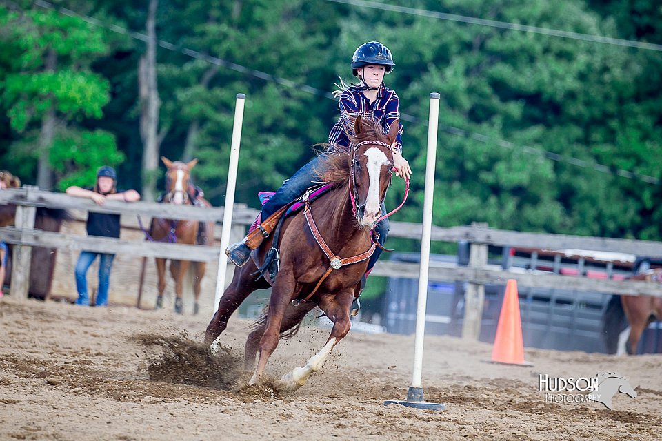 LCFair2016-4795.jpg