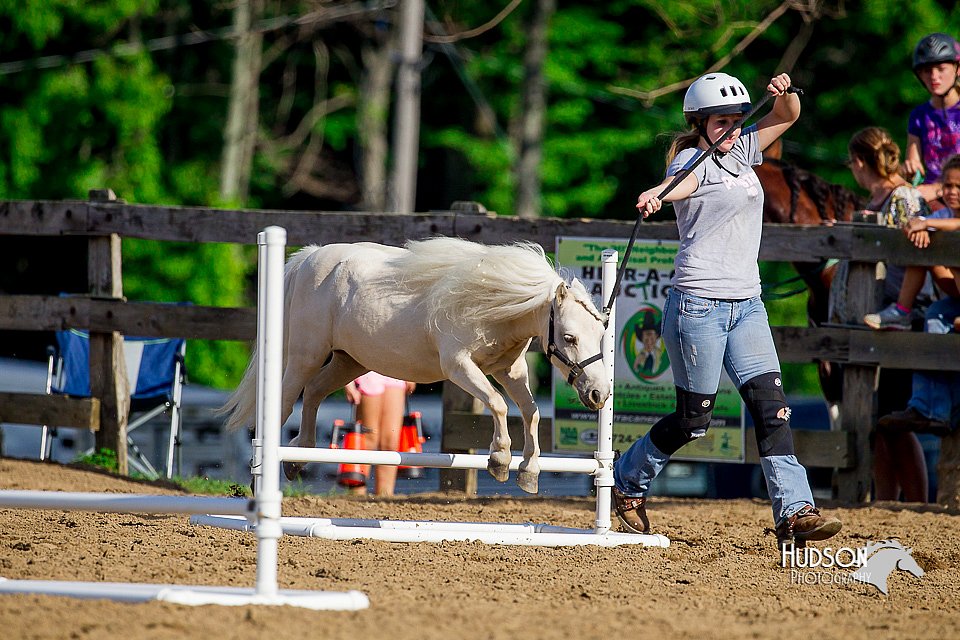 LCFair2016-4797.jpg