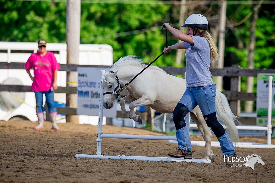 LCFair2016-4798.jpg