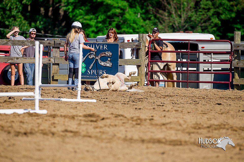 LCFair2016-4801.jpg