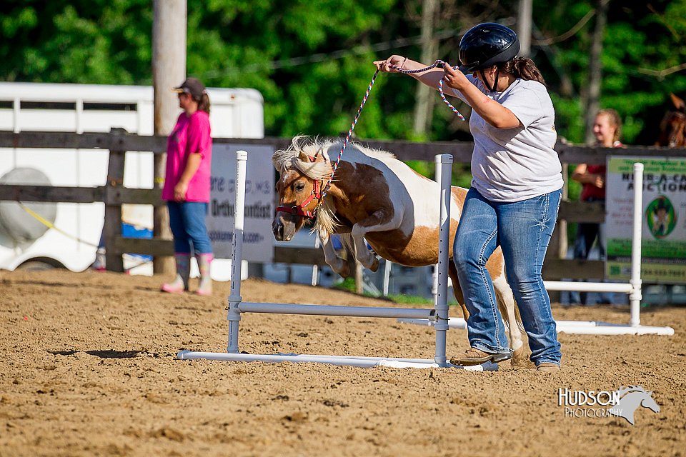 LCFair2016-4802.jpg