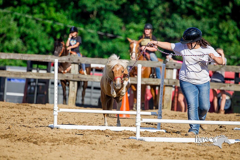 LCFair2016-4803.jpg
