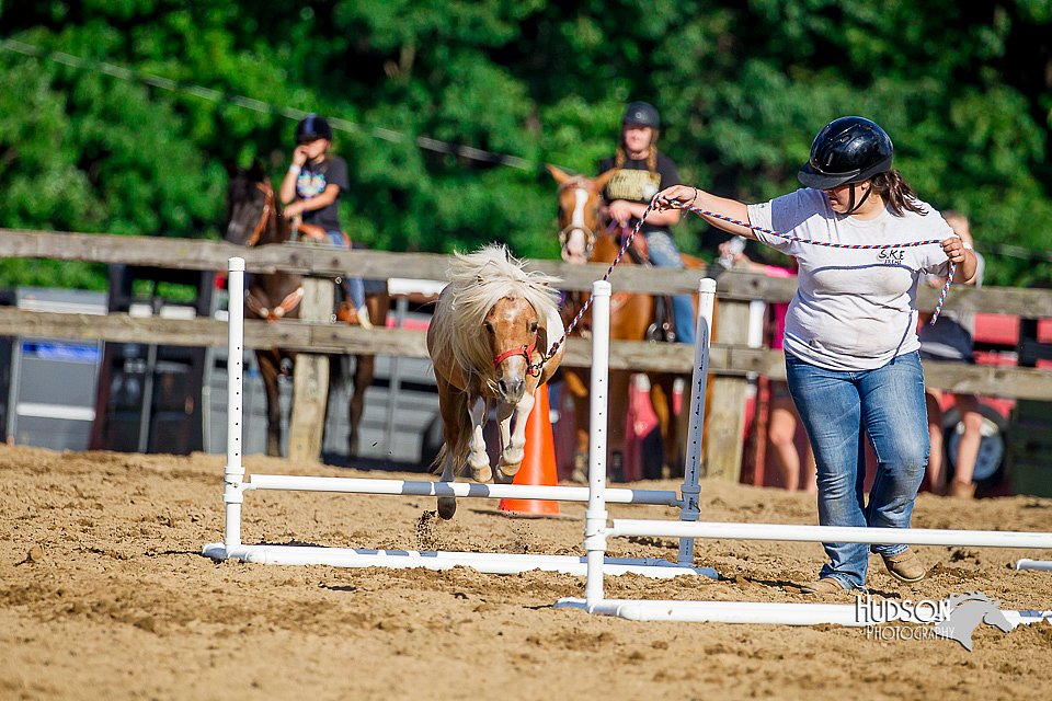 LCFair2016-4804.jpg