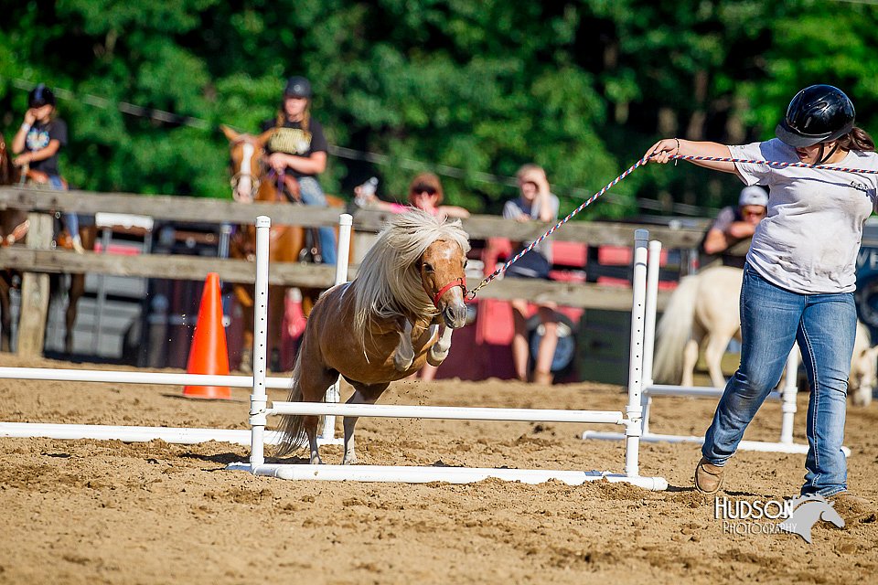 LCFair2016-4805.jpg