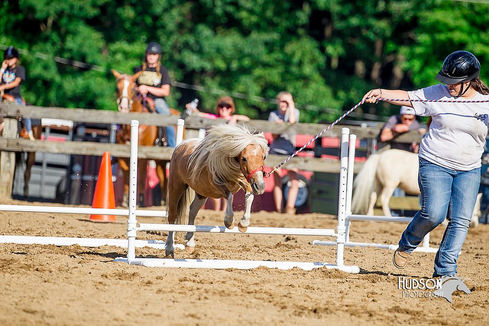 LCFair2016-4806.jpg