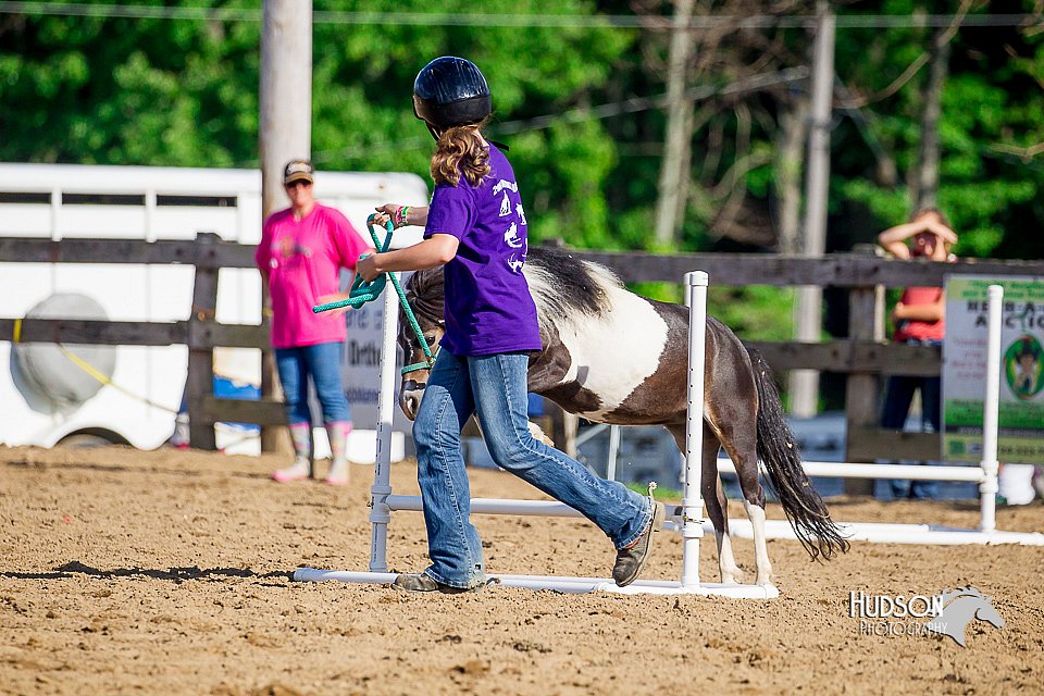 LCFair2016-4807.jpg