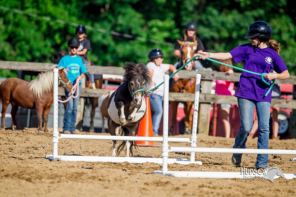 LCFair2016-4808.jpg