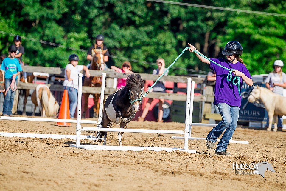 LCFair2016-4809.jpg
