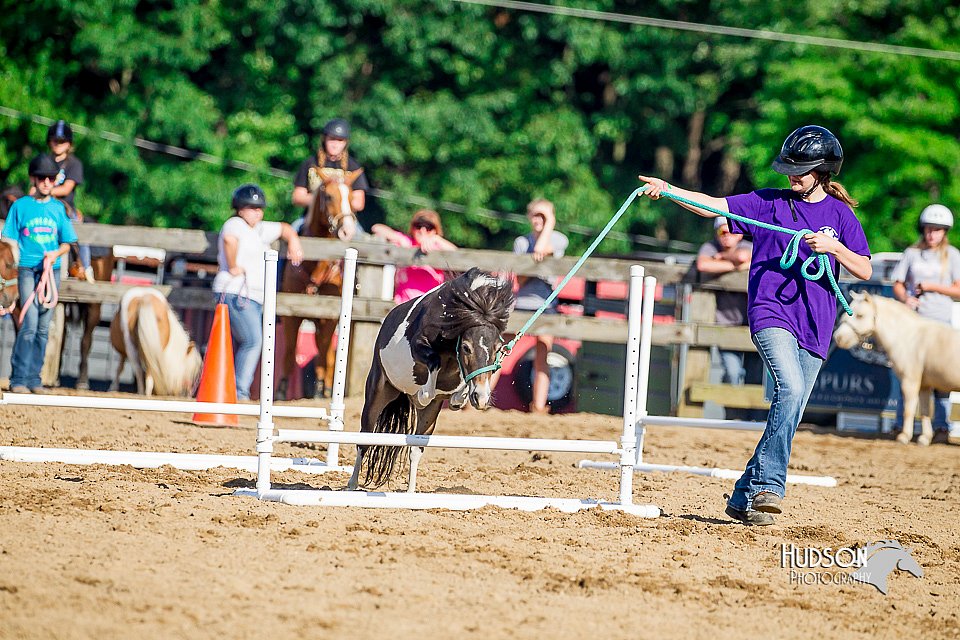 LCFair2016-4810.jpg