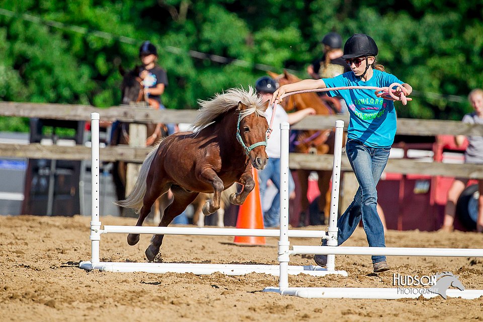 LCFair2016-4812.jpg