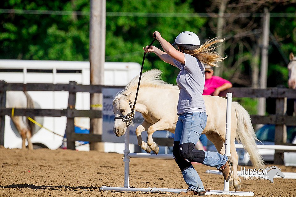 LCFair2016-4814.jpg