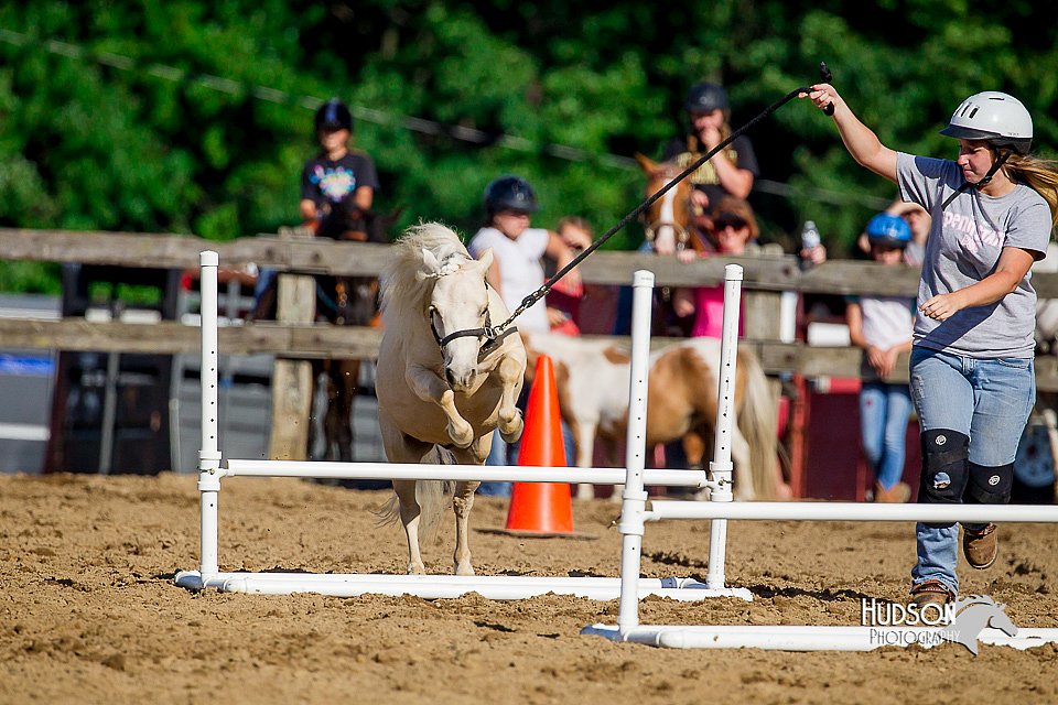 LCFair2016-4815.jpg