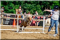 LCFair2016-4805.jpg