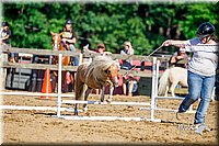 LCFair2016-4806.jpg