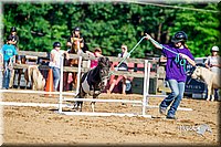 LCFair2016-4809.jpg