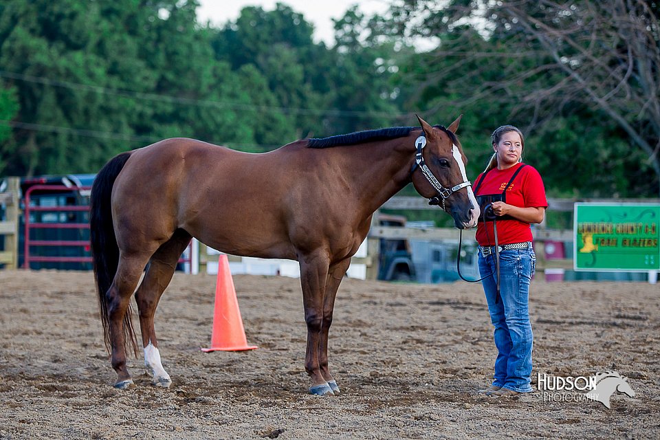 LCFair2016-4975.jpg