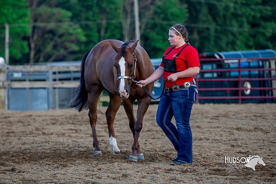 LCFair2016-4992.jpg