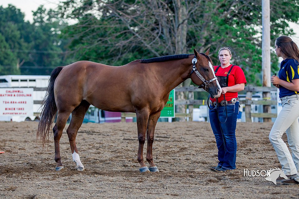 LCFair2016-4993.jpg