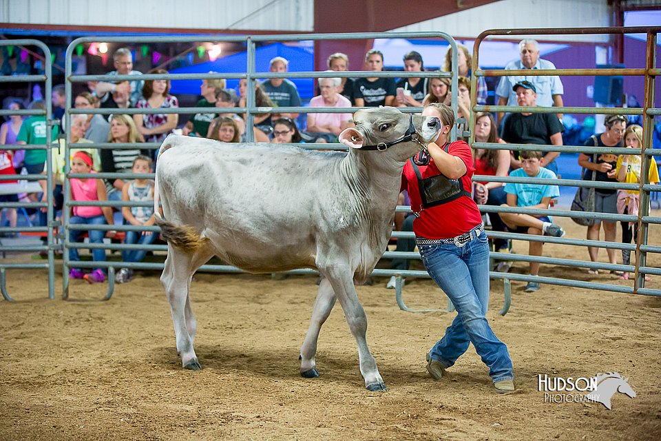 LCFair2016-5103.jpg