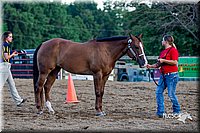 LCFair2016-4976.jpg