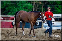 LCFair2016-4979.jpg