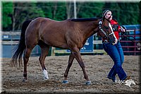 LCFair2016-4991.jpg