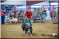 LCFair2016-5004.jpg