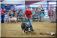 LCFair2016-5005.jpg