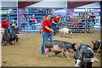 LCFair2016-5006.jpg